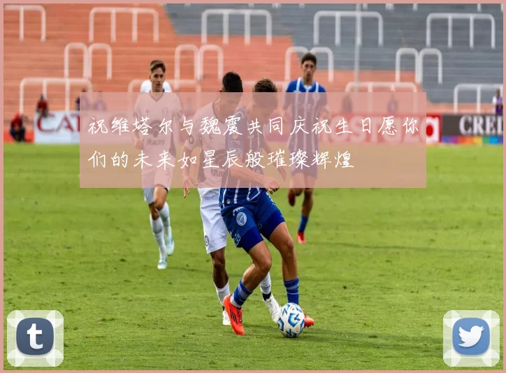 祝维塔尔与魏震共同庆祝生日愿你们的未来如星辰般璀璨辉煌